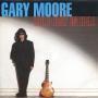 Coverafbeelding Gary Moore - Cold Day In Hell