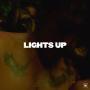 Coverafbeelding Harry Styles - Lights Up
