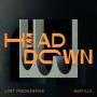 Details Lost Frequencies & Bastille - Head Down