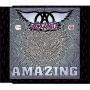 Details Aerosmith - Amazing