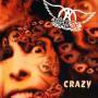 Trackinfo Aerosmith - Crazy
