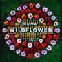Details 5SOS - Wildflower