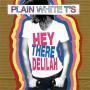 Trackinfo Plain White T's - Hey There Delilah
