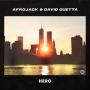 Trackinfo Afrojack & David Guetta - Hero