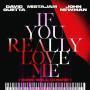 Trackinfo David Guetta x MistaJam x John Newman - If You Really Love Me (How Will I Know)