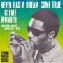 Coverafbeelding Stevie Wonder - Never Had A Dream Come True