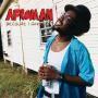 Trackinfo Afroman - Because I Got High