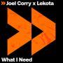 Details Joel Corry x Lekota - What I Need