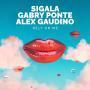 Trackinfo Sigala, Gabry Ponte & Alex Gaudino - Rely On Me