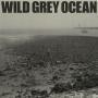 Trackinfo Sam Fender - Wild Grey Ocean