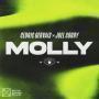 Details Cedric Gervais x Joel Corry - Molly