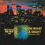 Trackinfo The Four Seasons featuring Frankie Valli - Oh What A Night (December, 1963) - Ben Liebrand Re-Mix 1988