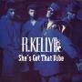 Trackinfo R. Kelly and Public Announcement - She's Got That Vibe