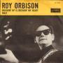 Trackinfo Roy Orbison - Breakin' Up Is Breakin' My Heart