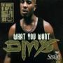 Trackinfo DMX feat. SisQó - What You Want