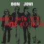 Coverafbeelding Bon Jovi - Who Says You Can't Go Home