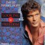 Trackinfo David Hasselhoff - Looking For Freedom