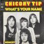 Details Chicory Tip - What's Your Name