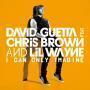 Coverafbeelding David Guetta feat. Chris Brown and Lil Wayne - I Can Only Imagine