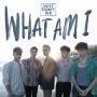Coverafbeelding Why Don't We - What Am I