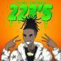 Details YNW Melly & 9lokknine - 223's