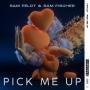 Coverafbeelding Sam Feldt & Sam Fischer - Pick Me Up