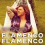 Details Roy Donders - Flamenco Flamenco