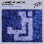 Details Junior Jack - Stupidisco - David Penn Remix