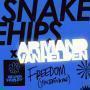 Details Snakehips  x Armand van Helden - Freedom (You Bring Me)