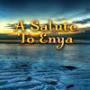 Trackinfo Enya - Only If ...