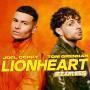 Trackinfo Joel Corry & Tom Grennan - Lionheart (Fearless)