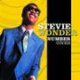 Coverafbeelding Stevie Wonder - So What The Fuss