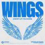Details Armand Van Helden x Karen Harding - Wings (I Won't Let You Down)
