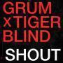 Details Grum x Tigerblind - Shout