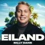 Details Billy Dans - Eiland