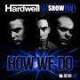 Details hardwell & showtek - how we do