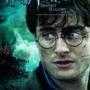 Details daniel radcliffe, emma watson e.a. - harry potter and the deathly hallows: part 2