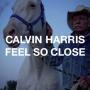 Trackinfo Calvin Harris - Feel so close