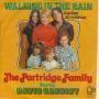 Trackinfo The Partridge Family starring David Cassidy - Walking In The Rain