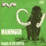 Details Kayak - Mammoth