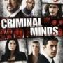 Details shemar moore, matthew gray gubler e.a. - criminal minds – seizoen 5