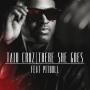 Trackinfo Taio Cruz feat Pitbull - There She Goes