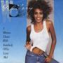 Trackinfo Whitney Houston - I Wanna Dance With Somebody (Who Loves Me)