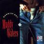 Details Muddy Waters - Mannish Boy