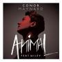Details conor maynard feat wiley - animal