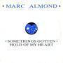 Coverafbeelding Marc Almond - Somethings Gotten Hold Of My Heart