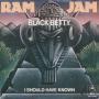 Trackinfo Ram Jam - Black Betty