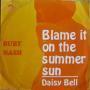 Coverafbeelding Ruby Nash - Blame It On The Summer Sun
