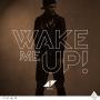 Trackinfo Avicii - Wake me up!