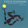 Coverafbeelding Steve Winwood - While You See A Chance